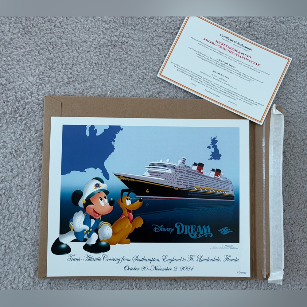 Disney Cruise Line Framed Art Print (Disney Dream)